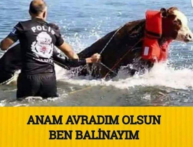 FB_IMG_1534466314790.jpg