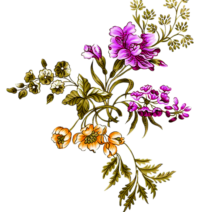 cicek_png_81.png