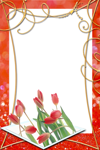 frame_52.png