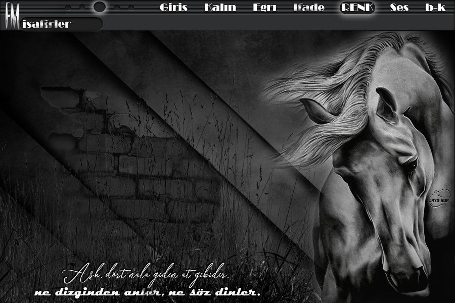ladynur-dortnalagidenjffu1.jpg