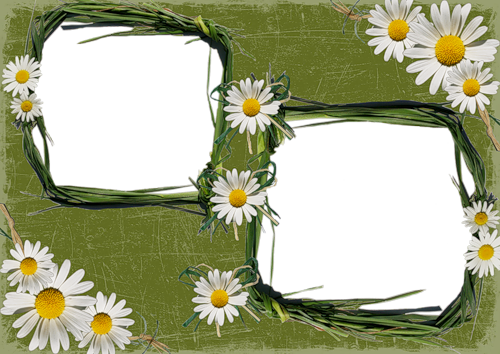 frame_14.png
