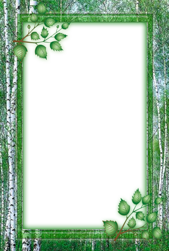 frame_24.png