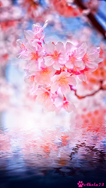 beautiful-flower-animated-gif8.gif