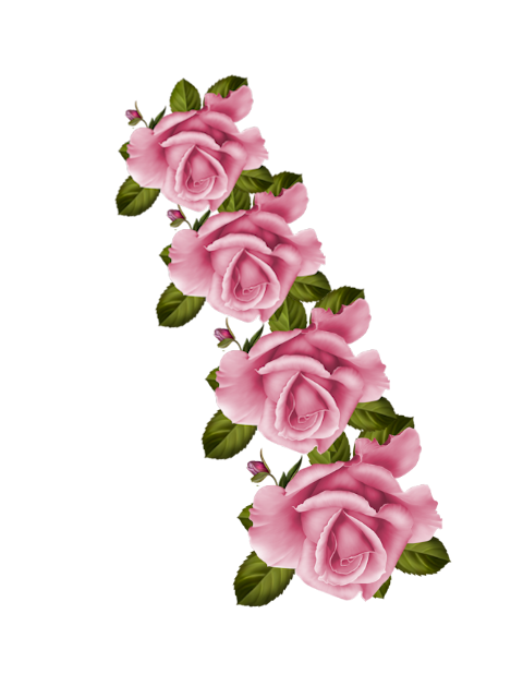 cicek_png_118.png