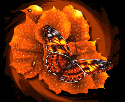 rainingbutterflykskm8.gif