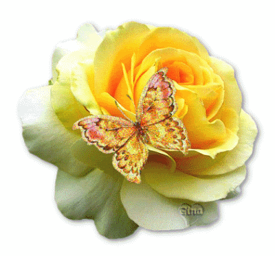 flowers-0922-yellow53pk2.gif