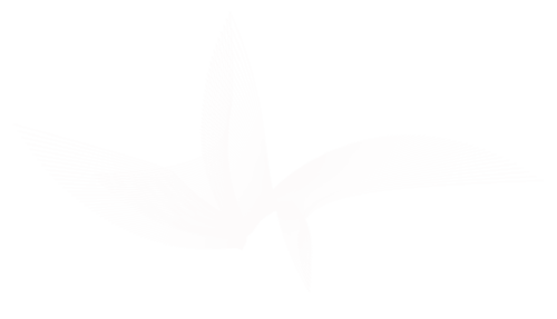 dekor_png_2_91.png