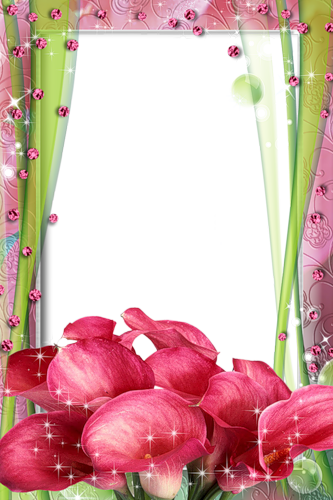 frame_5.png