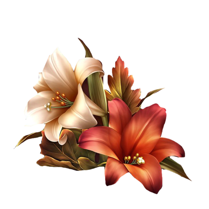 cicek_png_95.png