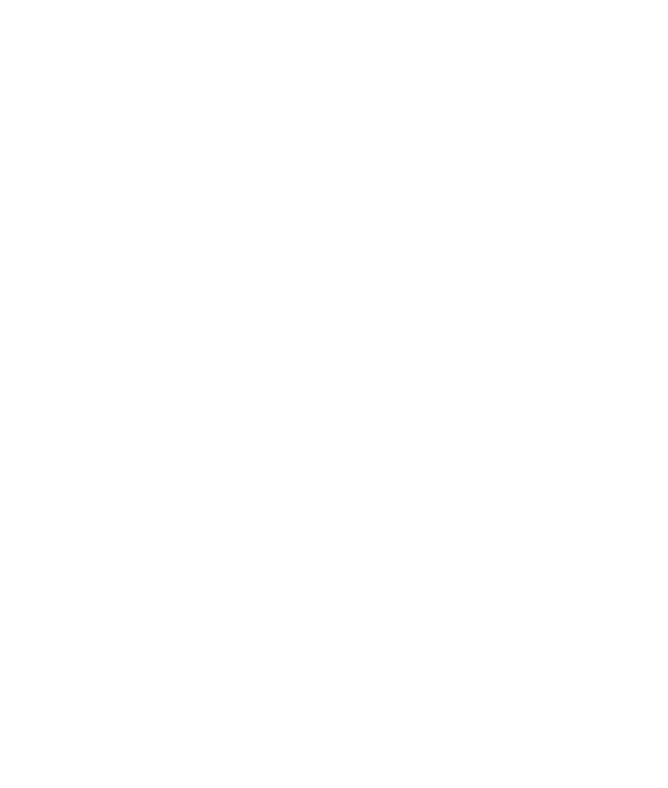 dekor_png_2_568.png