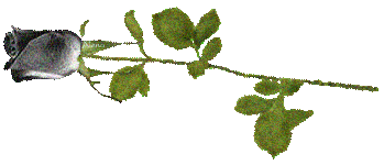 tema-ve-indexler-icin6dkft.gif