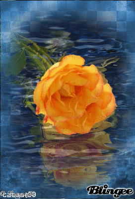 726796093_91128211s48.gif