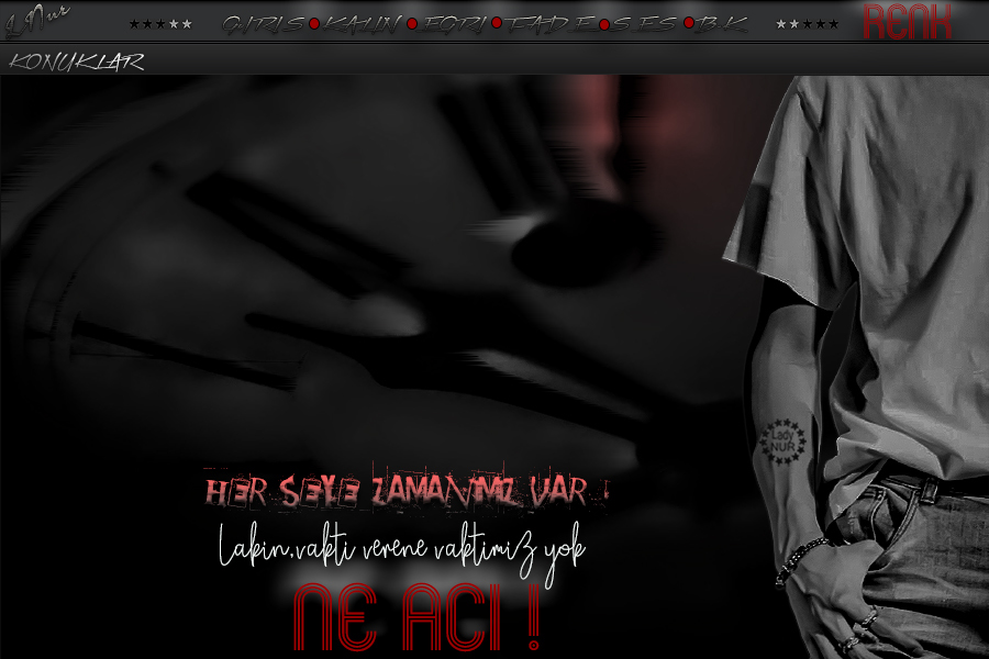 ladynur-erkektema-neag4jww.jpg
