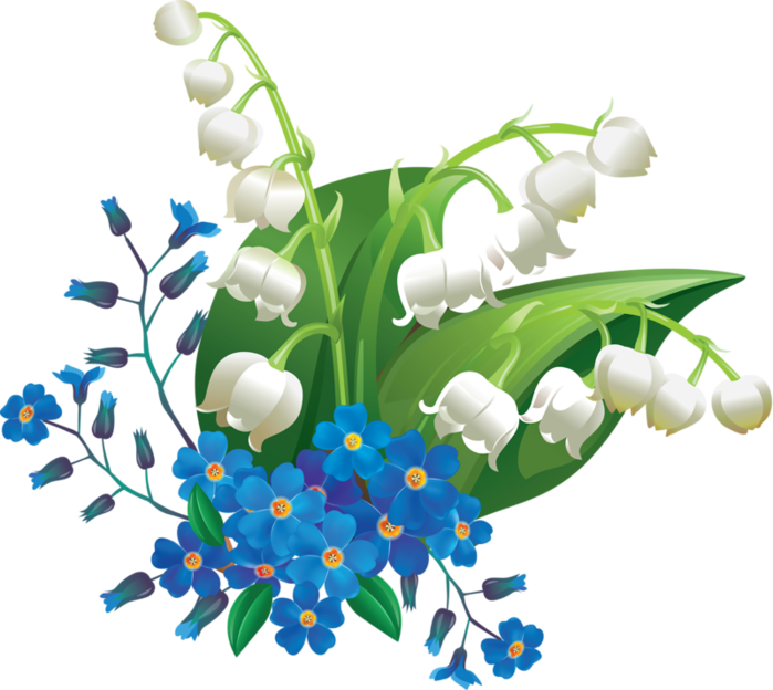 cicek_png_80.png