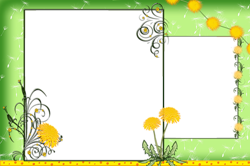 frame_67.png