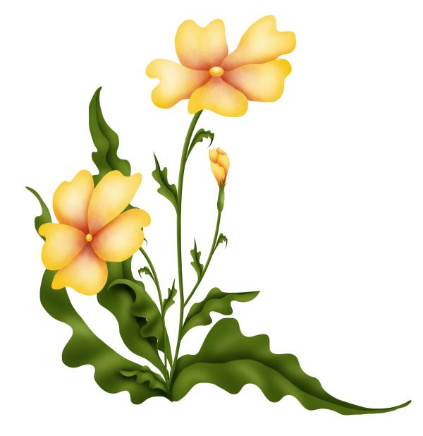 cicek_png_8.png