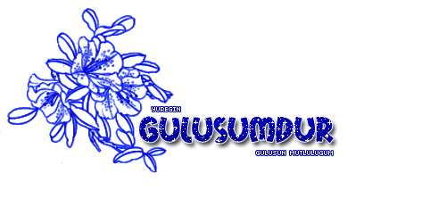 lZy7PB.gif