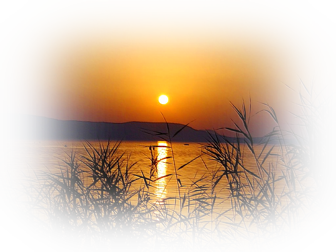 0_f4fb6_7be66863_x5lijswb.png